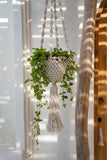 Le Crochet pour Plantes en Macramé Torsadé - Blanc Naturel - M